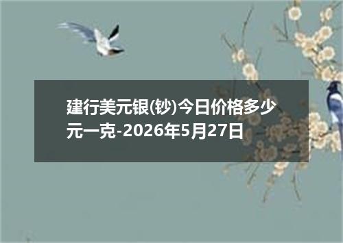 建行美元银(钞)今日价格多少元一克-2026年5月27日