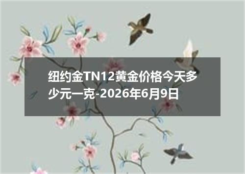纽约金TN12黄金价格今天多少元一克-2026年6月9日