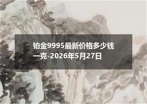 铂金9995最新价格多少钱一克-2026年5月27日