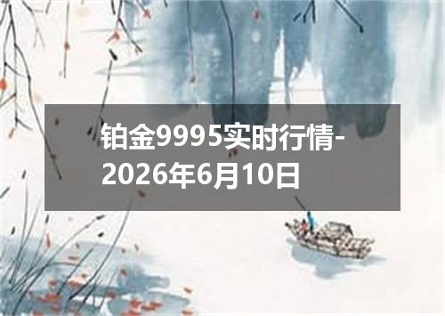 铂金9995实时行情-2026年6月10日
