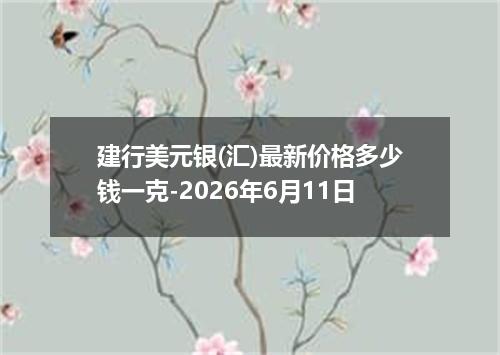 建行美元银(汇)最新价格多少钱一克-2026年6月11日