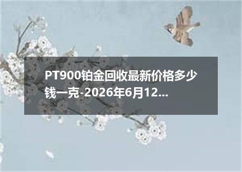 PT900铂金回收最新价格多少钱一克-2026年6月12日