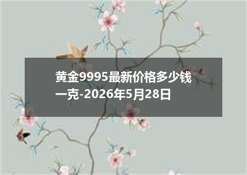 黄金9995最新价格多少钱一克-2026年5月28日
