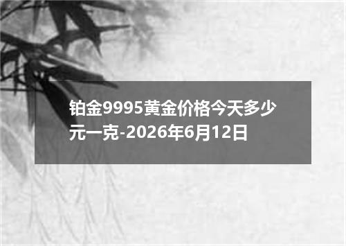 铂金9995黄金价格今天多少元一克-2026年6月12日