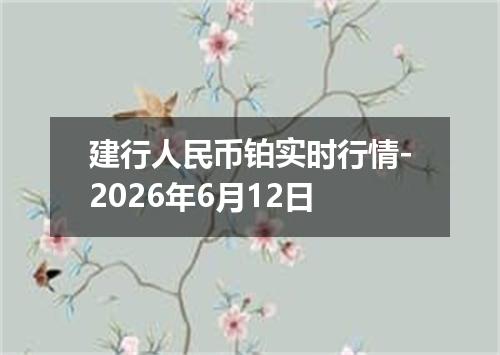 建行人民币铂实时行情-2026年6月12日