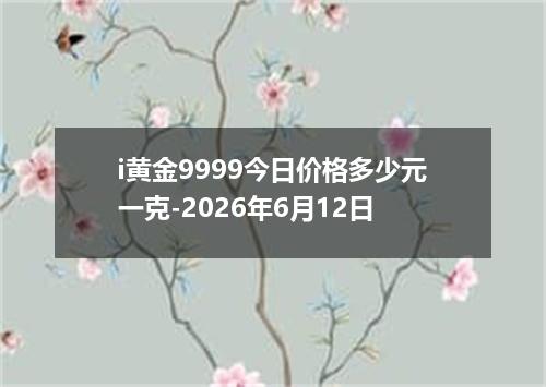 i黄金9999今日价格多少元一克-2026年6月12日