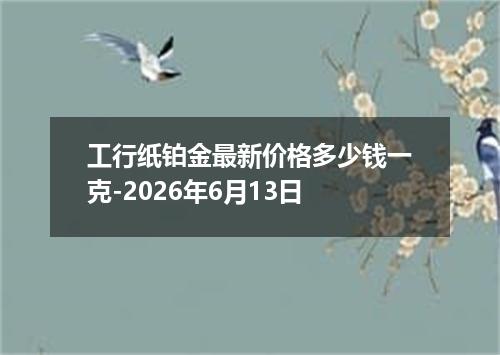 工行纸铂金最新价格多少钱一克-2026年6月13日
