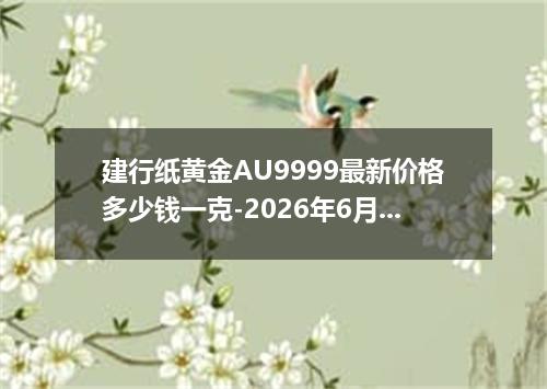 建行纸黄金AU9999最新价格多少钱一克-2026年6月13日