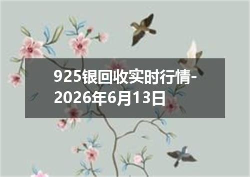 925银回收实时行情-2026年6月13日