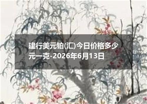 建行美元铂(汇)今日价格多少元一克-2026年6月13日