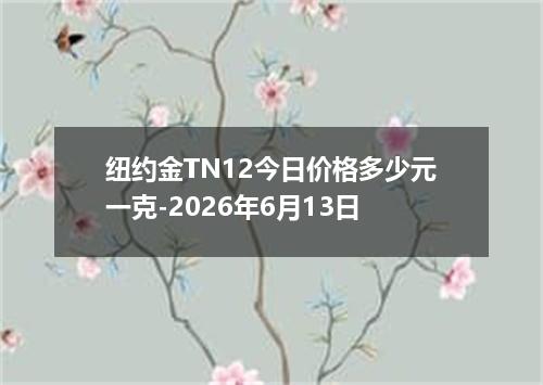 纽约金TN12今日价格多少元一克-2026年6月13日