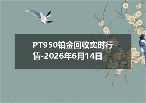 PT950铂金回收实时行情-2026年6月14日