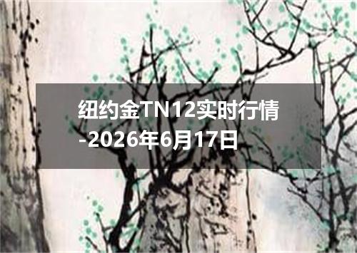 纽约金TN12实时行情-2026年6月17日