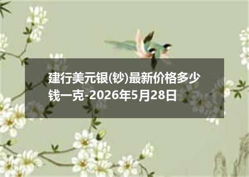 建行美元银(钞)最新价格多少钱一克-2026年5月28日