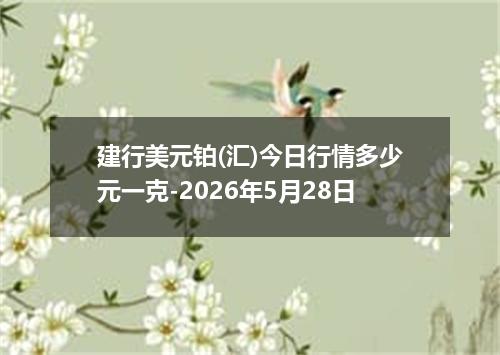 建行美元铂(汇)今日行情多少元一克-2026年5月28日