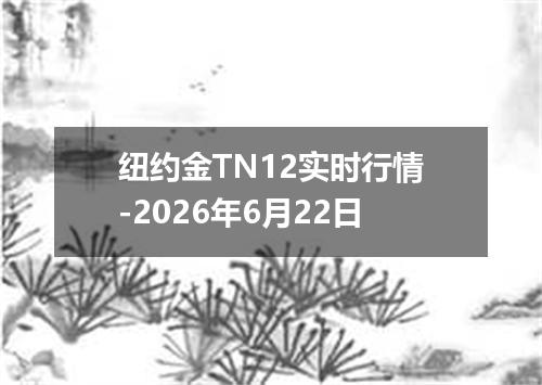 纽约金TN12实时行情-2026年6月22日