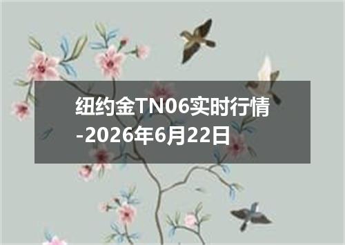 纽约金TN06实时行情-2026年6月22日