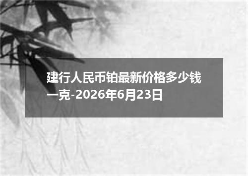 建行人民币铂最新价格多少钱一克-2026年6月23日