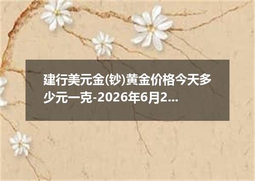 建行美元金(钞)黄金价格今天多少元一克-2026年6月24日
