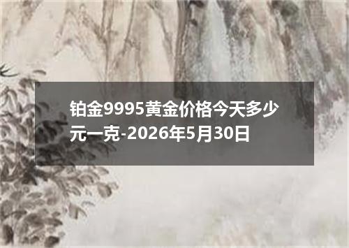铂金9995黄金价格今天多少元一克-2026年5月30日