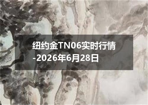 纽约金TN06实时行情-2026年6月28日