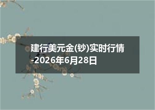 建行美元金(钞)实时行情-2026年6月28日