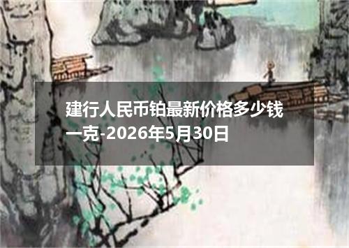 建行人民币铂最新价格多少钱一克-2026年5月30日