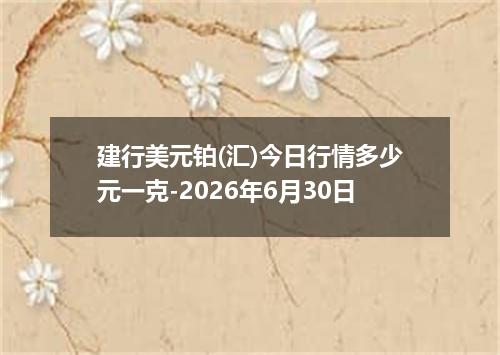 建行美元铂(汇)今日行情多少元一克-2026年6月30日