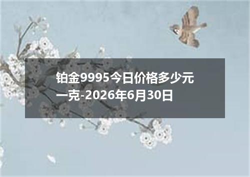 铂金9995今日价格多少元一克-2026年6月30日