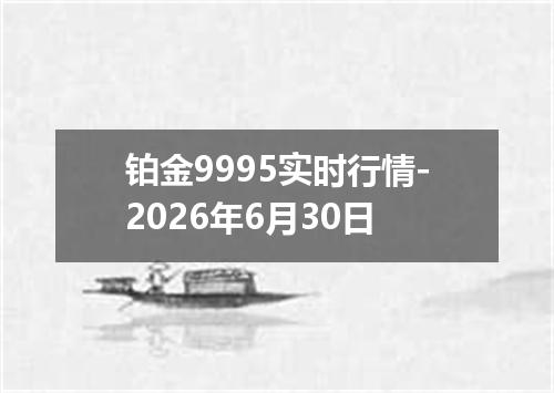 铂金9995实时行情-2026年6月30日