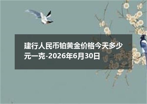 建行人民币铂黄金价格今天多少元一克-2026年6月30日