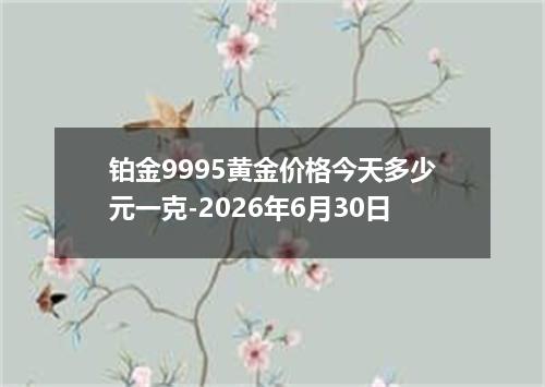 铂金9995黄金价格今天多少元一克-2026年6月30日