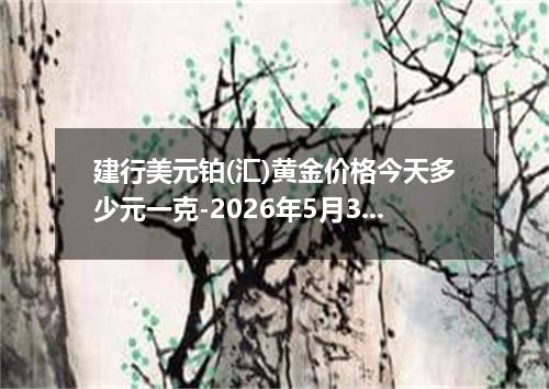 建行美元铂(汇)黄金价格今天多少元一克-2026年5月30日