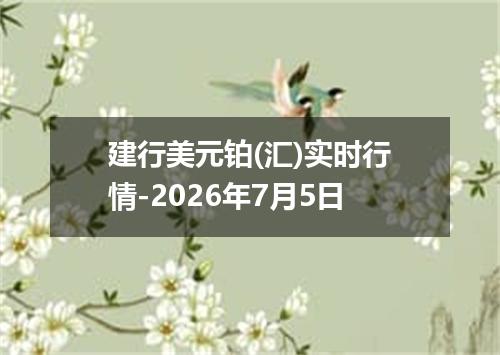 建行美元铂(汇)实时行情-2026年7月5日