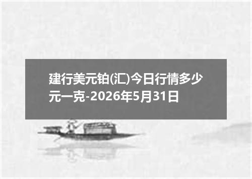 建行美元铂(汇)今日行情多少元一克-2026年5月31日