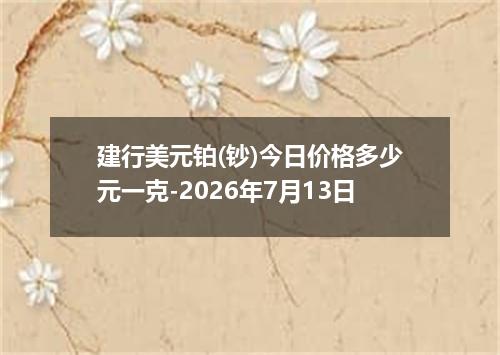 建行美元铂(钞)今日价格多少元一克-2026年7月13日