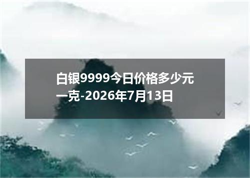 白银9999今日价格多少元一克-2026年7月13日