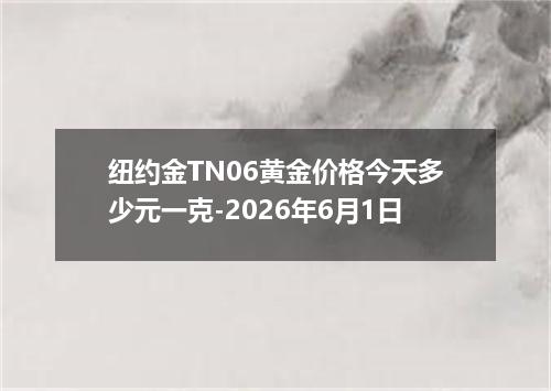 纽约金TN06黄金价格今天多少元一克-2026年6月1日