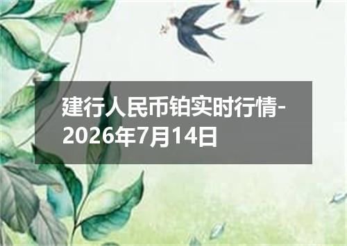 建行人民币铂实时行情-2026年7月14日