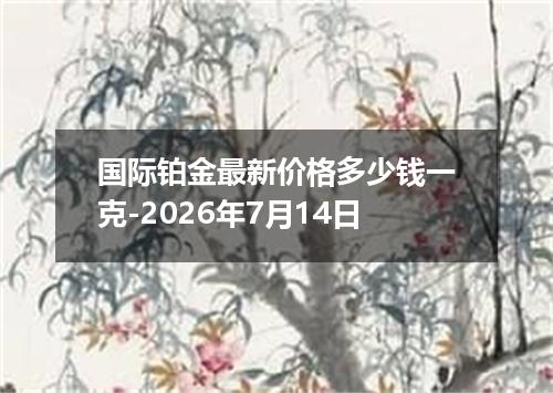 国际铂金最新价格多少钱一克-2026年7月14日