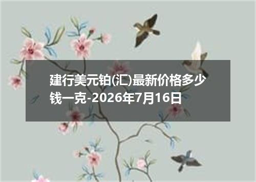 建行美元铂(汇)最新价格多少钱一克-2026年7月16日