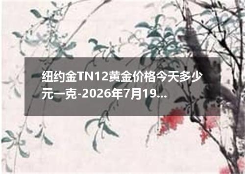 纽约金TN12黄金价格今天多少元一克-2026年7月19日