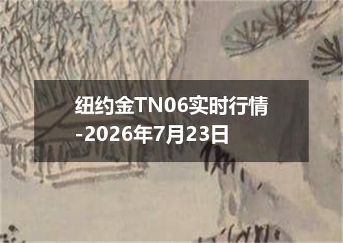 纽约金TN06实时行情-2026年7月23日