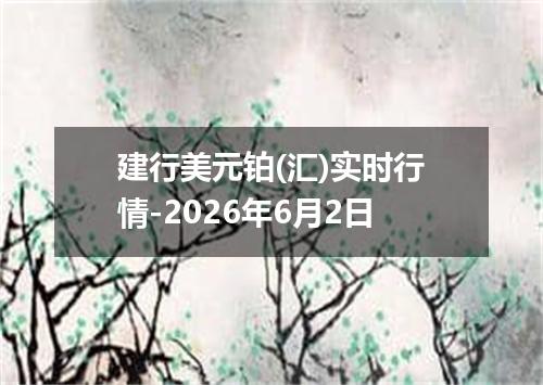 建行美元铂(汇)实时行情-2026年6月2日