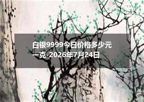 白银9999今日价格多少元一克-2026年7月24日