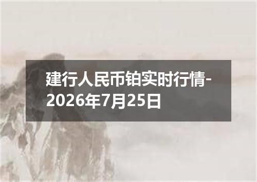 建行人民币铂实时行情-2026年7月25日