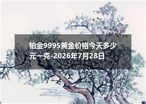 铂金9995黄金价格今天多少元一克-2026年7月28日
