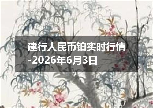 建行人民币铂实时行情-2026年6月3日