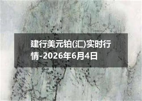 建行美元铂(汇)实时行情-2026年6月4日